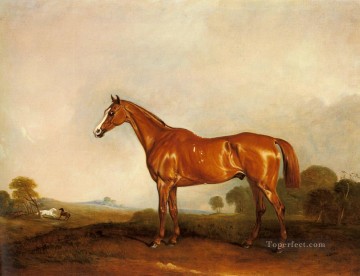 Animal Painting - Un cazador de castañas en un paisaje caballo de carreras John Ferneley Snr